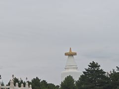 -凉州白塔寺景区