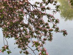 -莲池书院博物馆