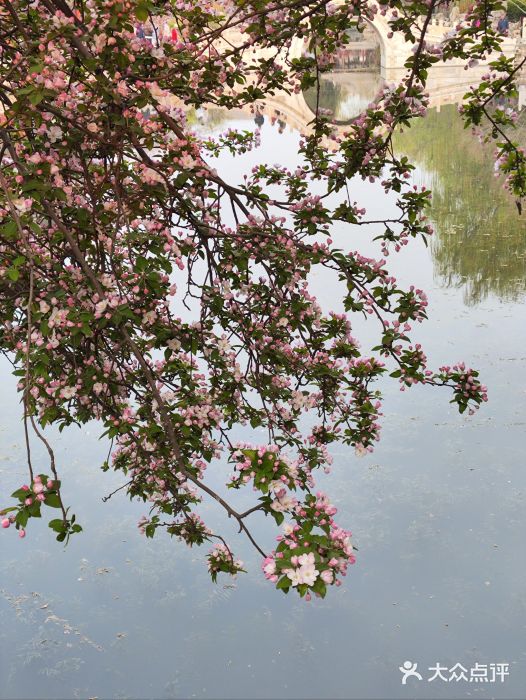 莲池书院博物馆图片