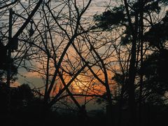 -金鸡山公园