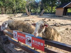-宁波野生动物园