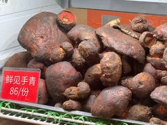 -太婆天府山珍酒楼(亚运村店)