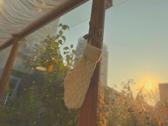-Jo's Garden