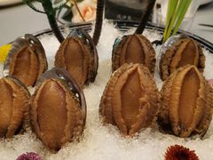 味淋鲍鱼-维园悦谱·海派家常菜(乌鲁木齐南路店)