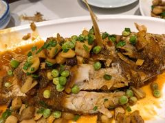 -新侨小馆(东直门北小街店)