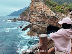 -杨梅坑