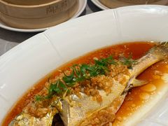 -陶兰居·手工点心·粤菜(圆融时代广场店)
