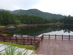 -海南热带雨林国家公园吊罗山景区