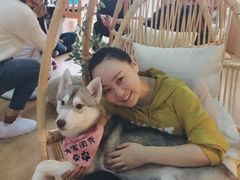 -Husky Go! 哈士奇体验馆·宠物咖啡厅狗咖