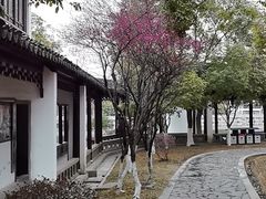 -八大山人梅湖景区