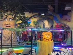 -卡通尼·Safari非洲探索乐园·生日会(金桥国际商业广场店)