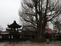 -医王山·飞騨国分寺