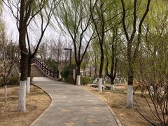 -大兴滨河森林公园