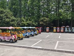 -黄海国家森林公园