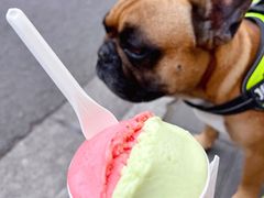 -Dip in Gelato(富民路店)