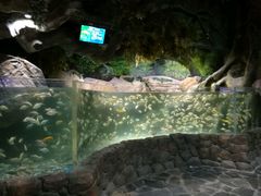 -多彩贵州城极地海洋世界