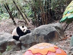 -广州长隆欢乐世界