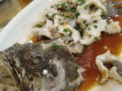 龙趸鱼-台山美食一绝阿四台山黄鳝饭(阿四创作店)