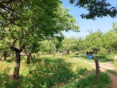 -名花谷生态庄园