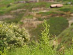 -神木二郎山风景区