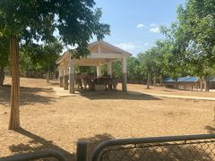 -石家庄市动物园