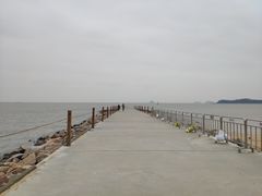 -野狸岛