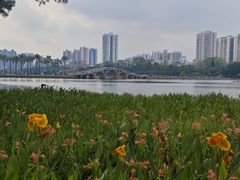 -南宁南湖公园