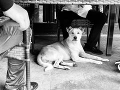 -兴福老面馆(寺路街店)