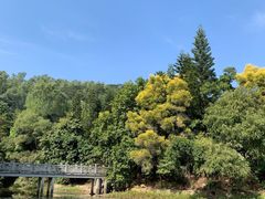 -深圳国际园林花卉博览园