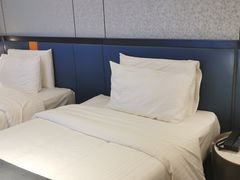 -和颐至尚酒店(上海陆家嘴浦电路地铁站店)
