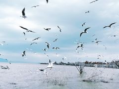 -捞渔河湿地公园
