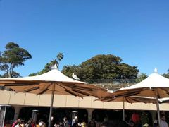 -悉尼歌剧院