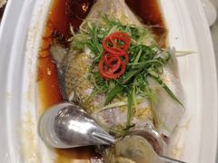 -湖锦酒楼·旗舰店(三阳总店)
