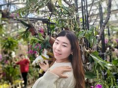 -沈阳植物园
