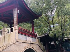 -龙潭水乡