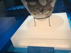 -阿捡忭京炸鸡(韭菜园总店)