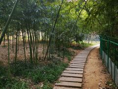 -南山风景名胜区
