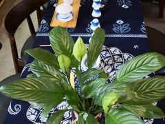 -MAP CHA普洱茶馆(翠湖店)