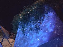 -三利音·浦之舟(滨江大道店)