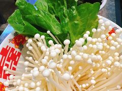 -龙厂长老火锅(抚琴店)