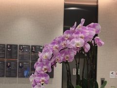 -TSK齿科德申会口腔门诊·联洋诊所