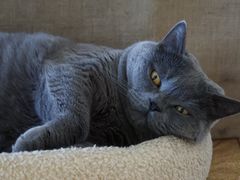 -Me Coffee下午茶艺术空间