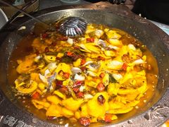 -雲蜀龙阁·金牌水煮鱼(方庄店)