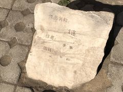 -裕华世纪公园