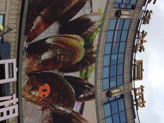 -光启城时尚购物中心