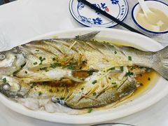 -源水鱼庄·翘嘴鲌店·老字号