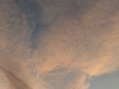 -径山花海