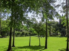 -荔枝公园(福田区)