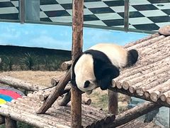 -大连森林动物园