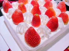 -巴思客蛋糕(交通路店)